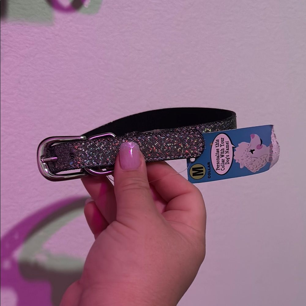 Medium Dog collar